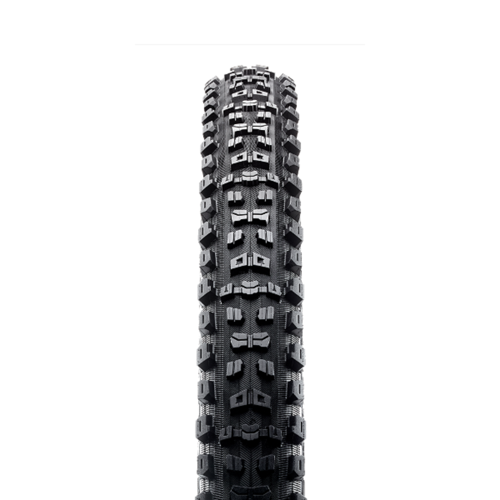 MAXXIS AGGRESSOR 29 X 2.50 WT Folding 120TPIx2 DD TR