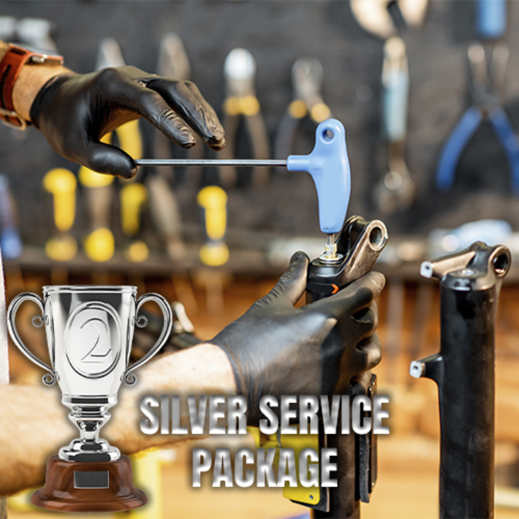 SILVER SERVICE PACKAGE