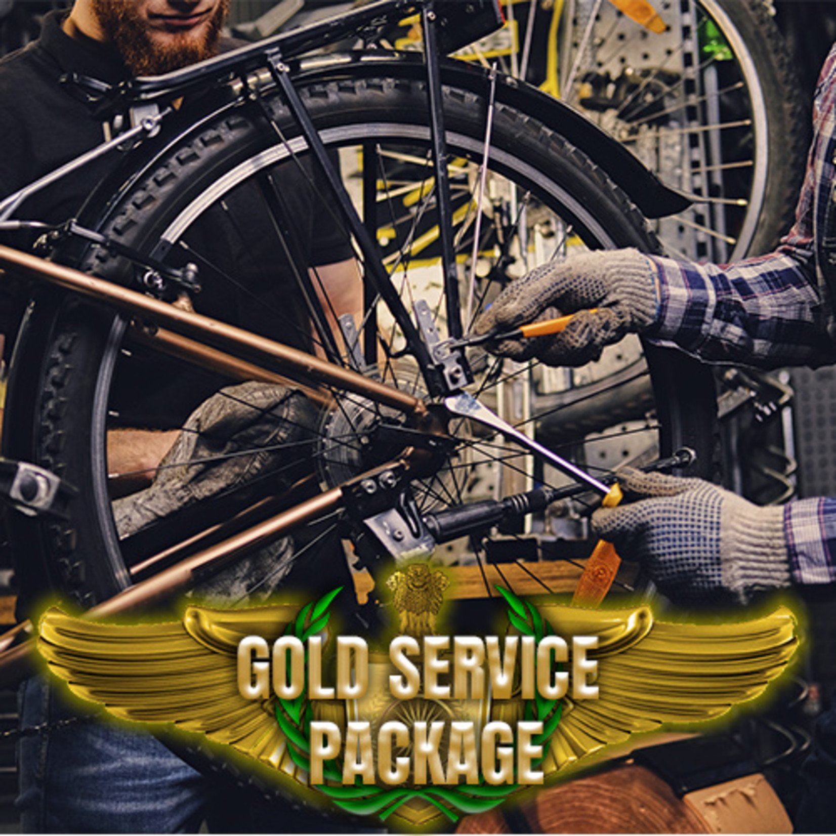 GOLD SERVICE PACKAGE