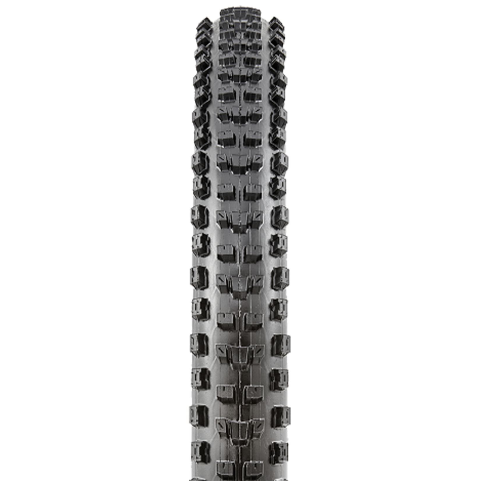 MAXXIS DISSECTOR 27.5 X 2.40 EXO 3CTR