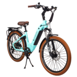 Dirodi DiroDi Primo Electric Bike