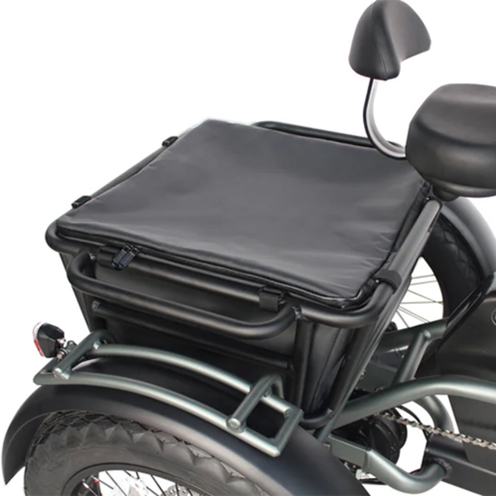 VAMOS BIKES PAPA GRANDE PRO - 3 WHEEL E-TRIKE (2025)