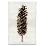 Handmade Sugar Pine Cone Handmade Print SPECIAL ORDER