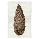 Handmade Knobcone Pine Cone Handmade Print SPECIAL ORDER