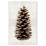 Handmade Loblolly Pine Cone Handmade Print