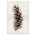 Handmade Western White Pine Cone Handmade Print