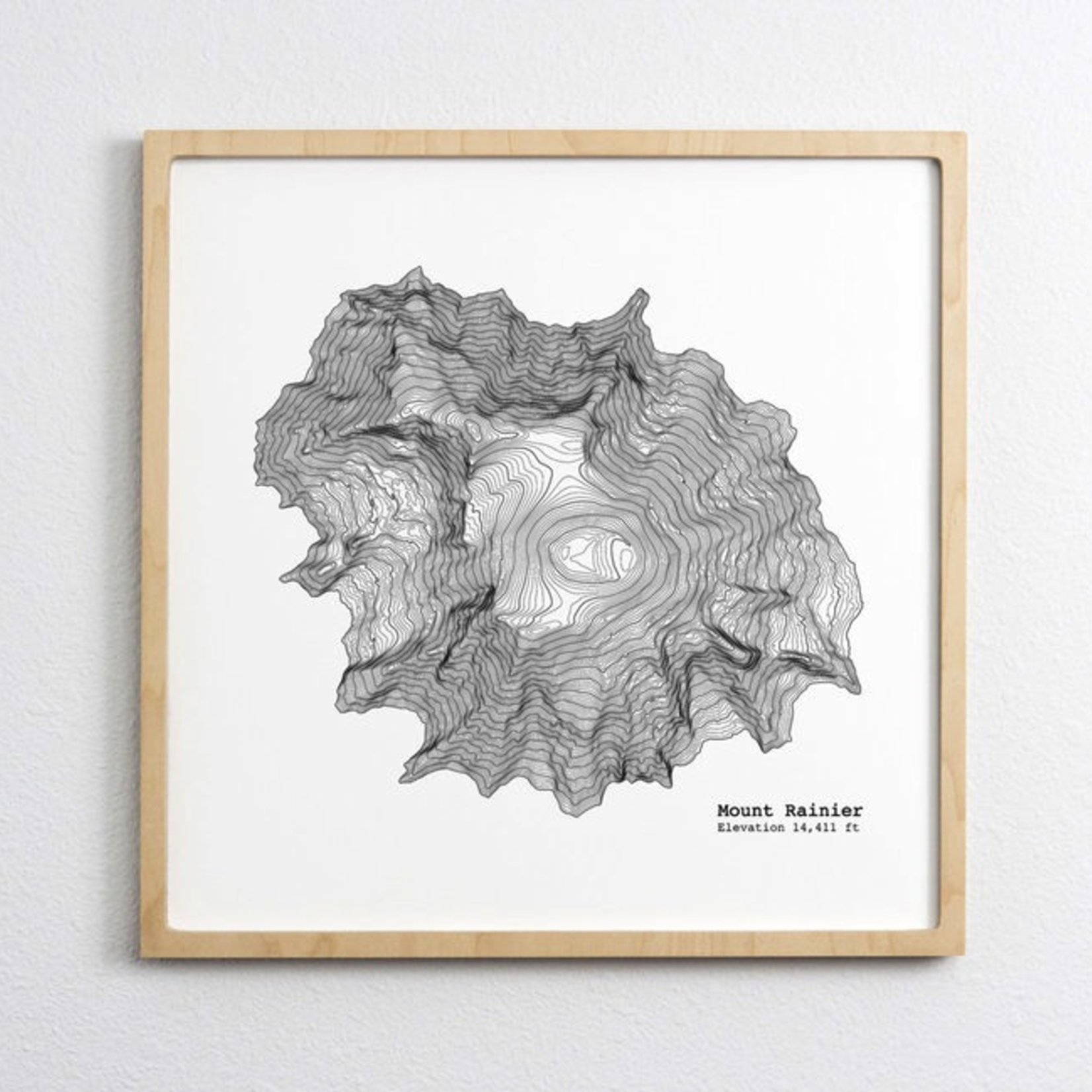 mount rainier topographic map