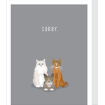 Greeting Cards - Pet Sympathy Sorry Cat Sympathy