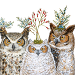 Napkins Sawyer Holiday Hoot Bev Napkins