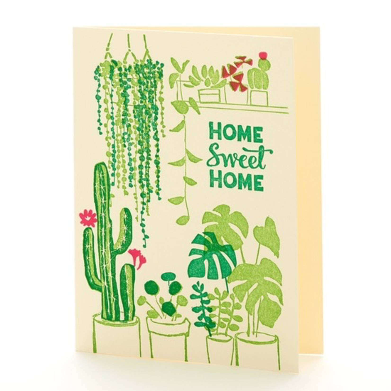 Greeting Cards - New Home House Plants New Home