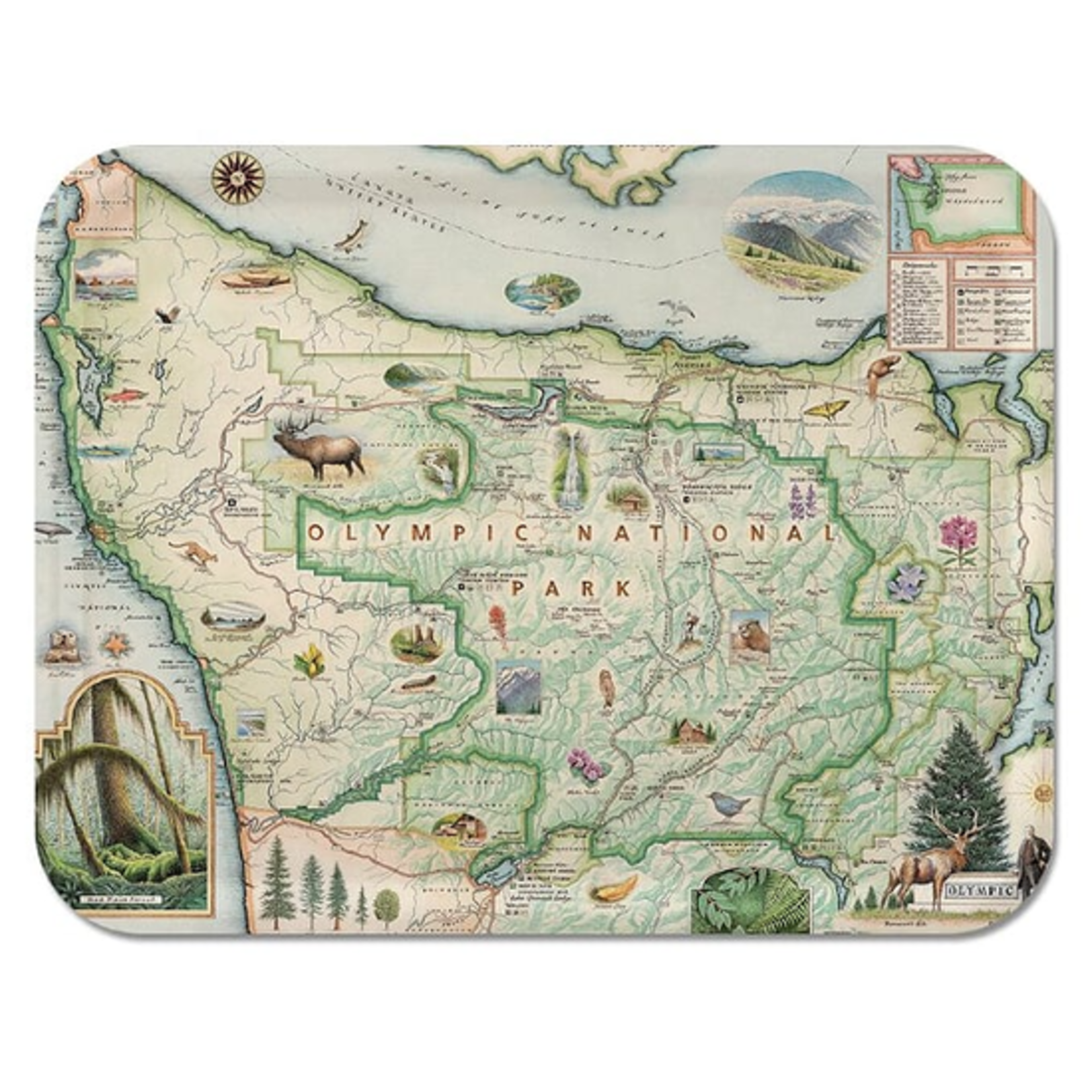 Trays Olympic National Park 16x12 Tray