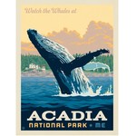 Prints Acadia National Park Whale 11x14