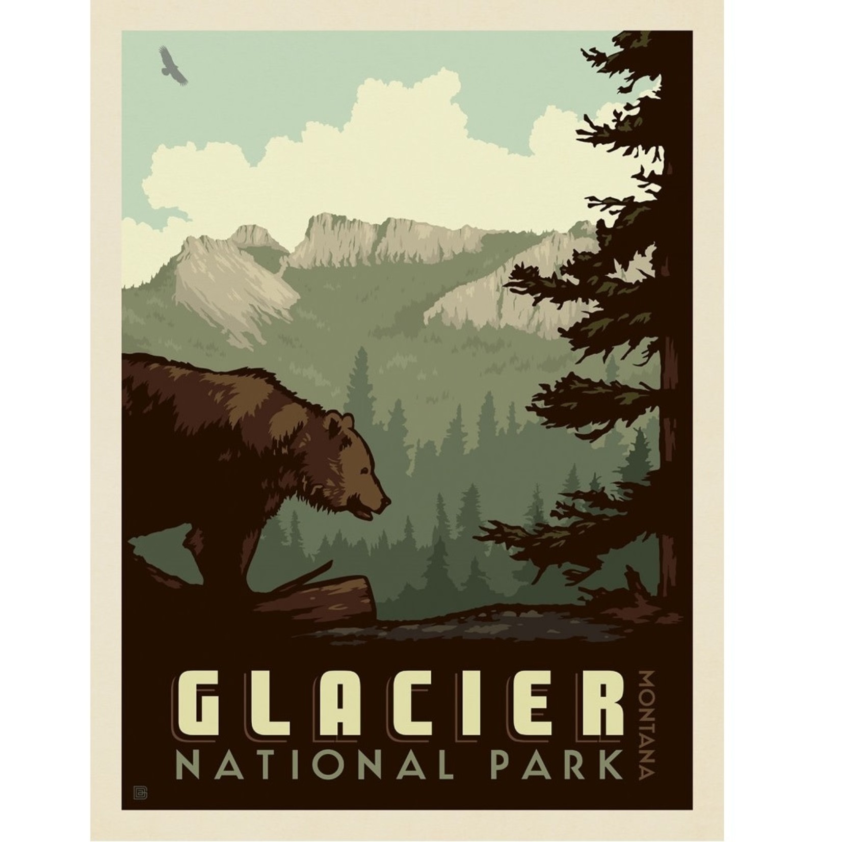 Prints Glacier National Park: Bear 11x14