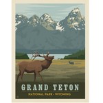 Prints Grand Teton Elk National Park 11x14