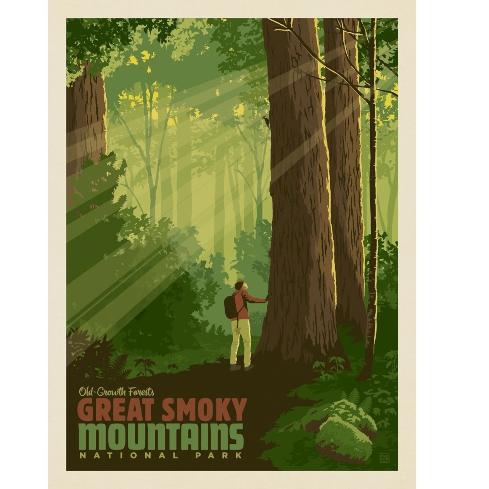 Prints Great Smoky Mountains Old Growth Forest 11x14