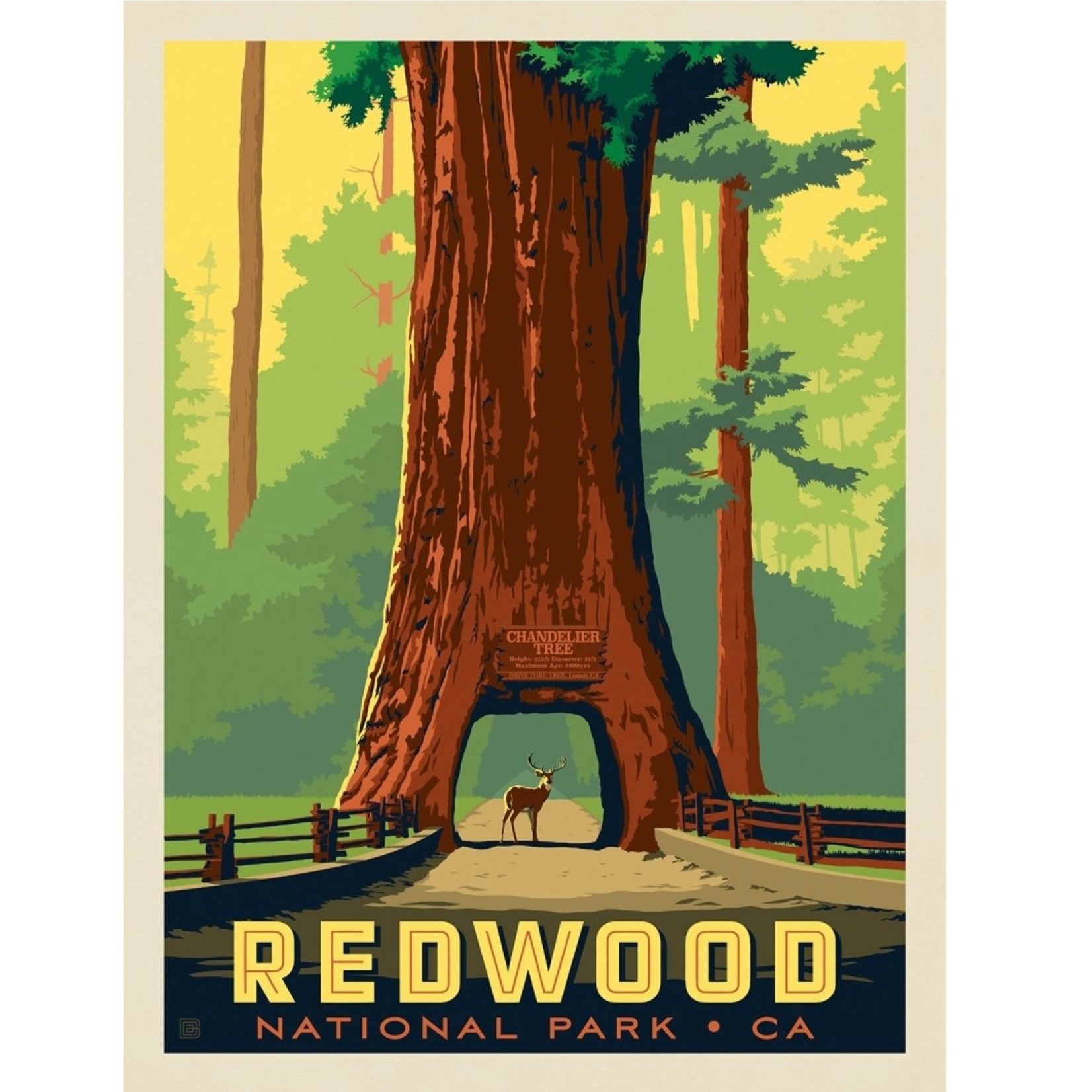 Prints Redwood Chandelier Tree 11x14