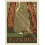 Prints Redwood National Park 11x14