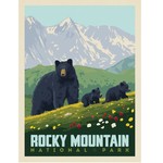 Prints Rocky Mountain Black Bears 11x14