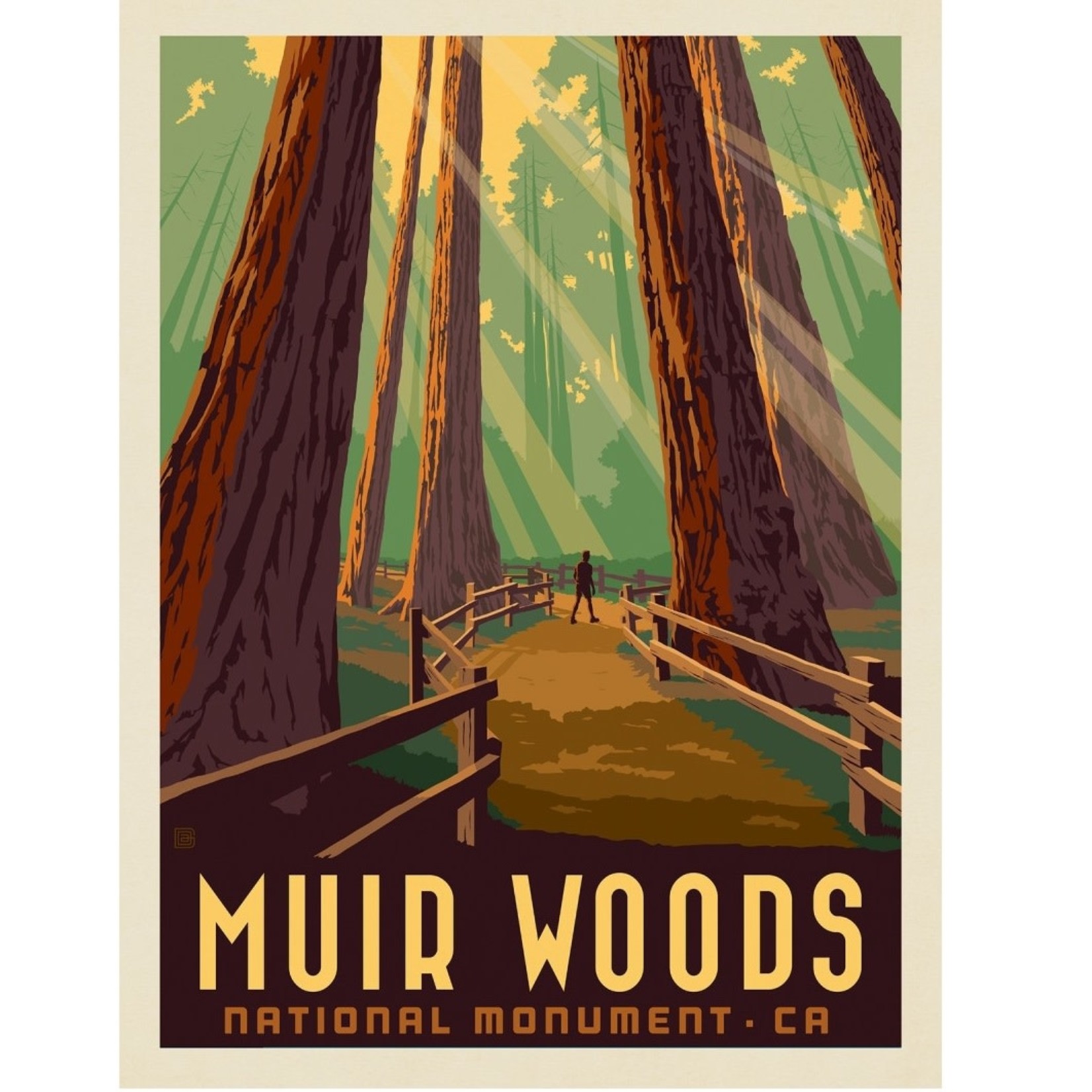 Posters Muir Woods CA 11x14