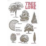 Greeting Cards - General Tree Lore