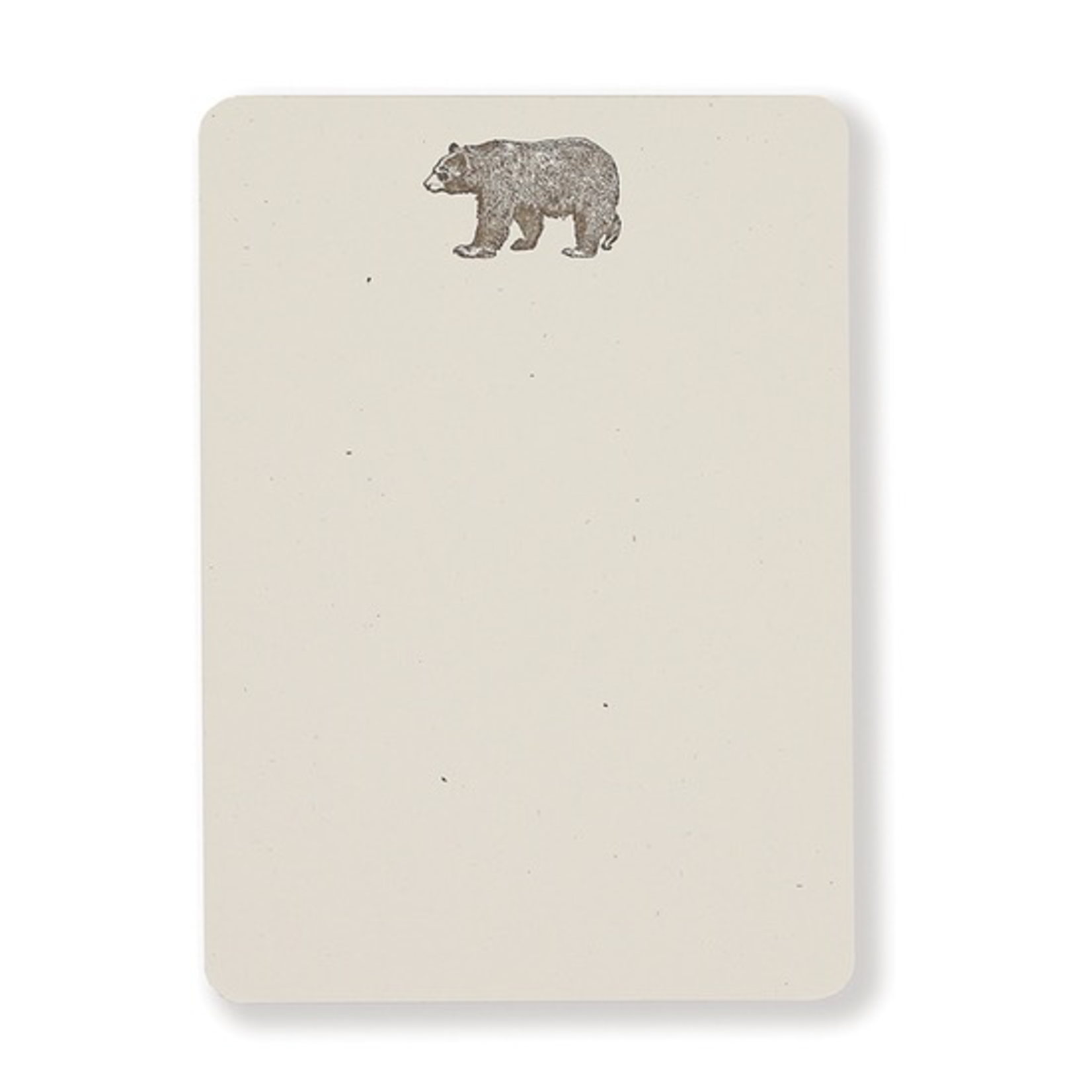 Notecards Boxed Bear Box/8