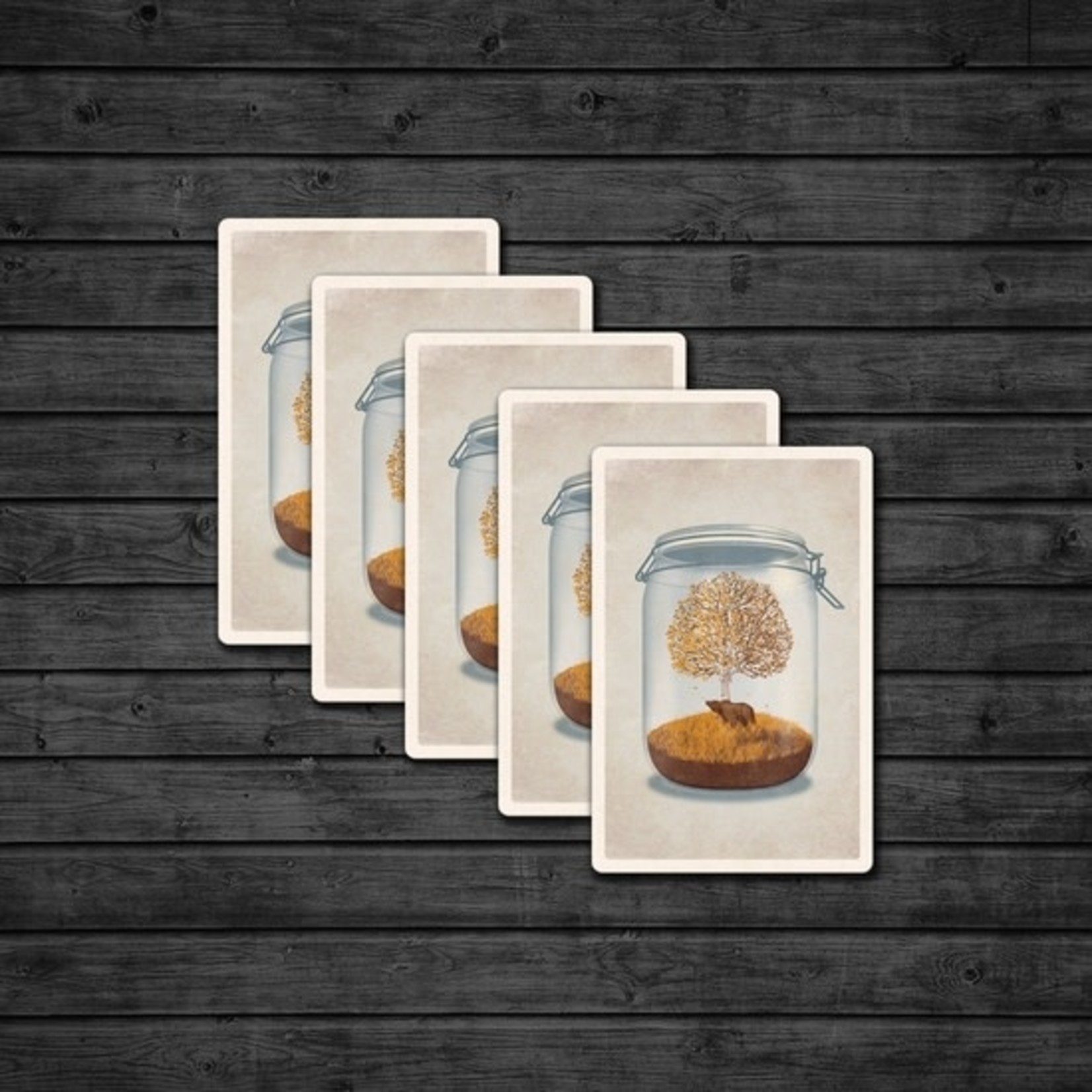 Postcards Bear Mason Jar Postcard