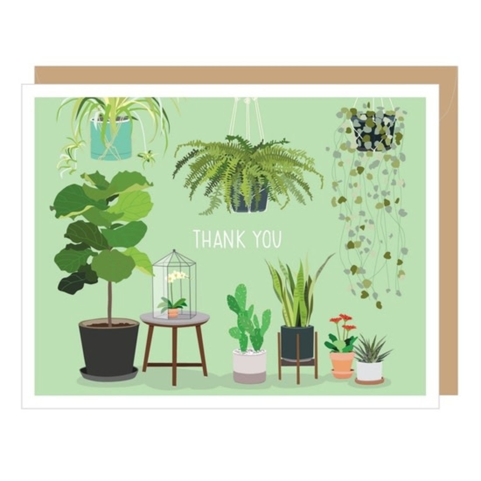 Greeting Cards - Thank You Potted Houseplants Thank You