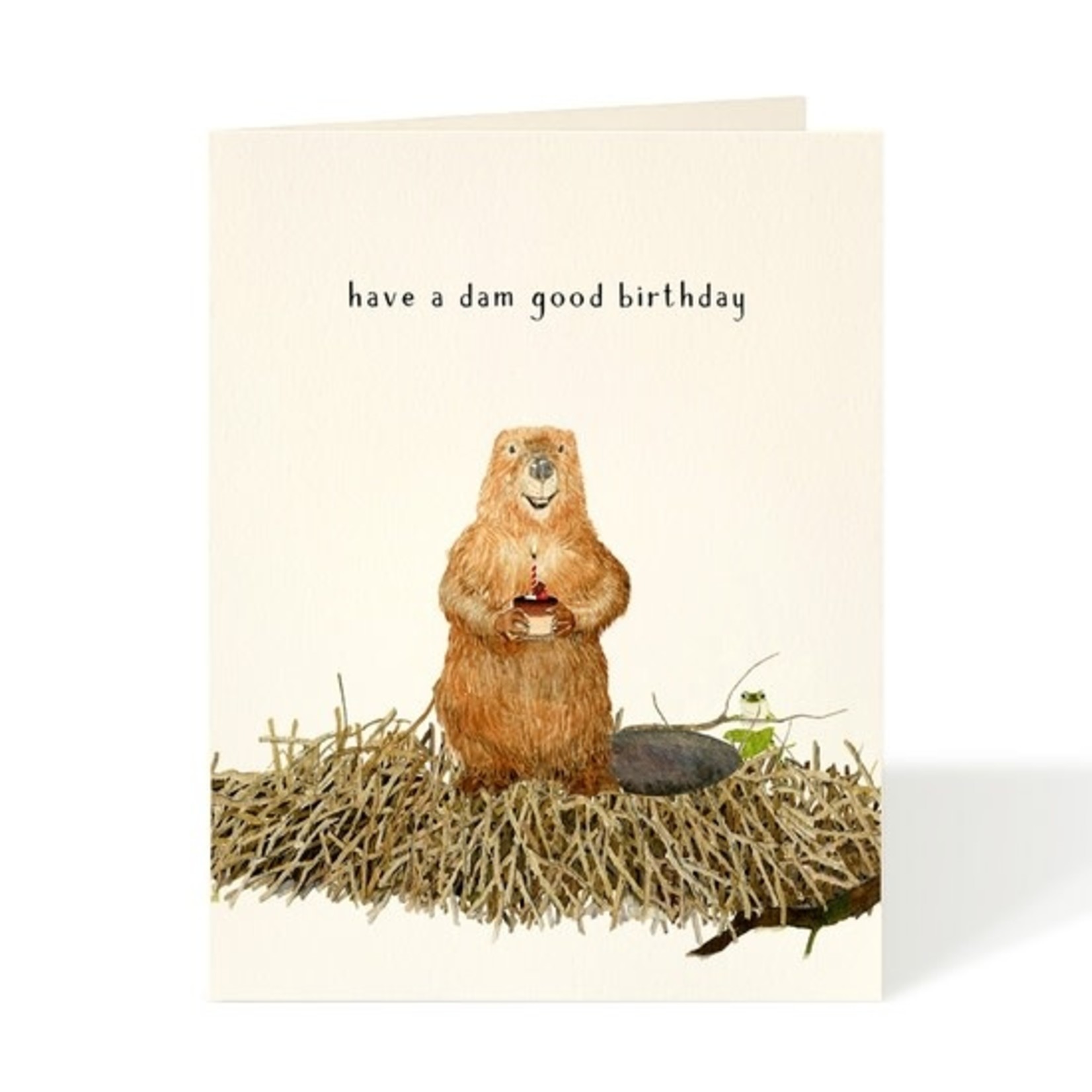 Greeting Cards - Birthday Dam Good Birthday