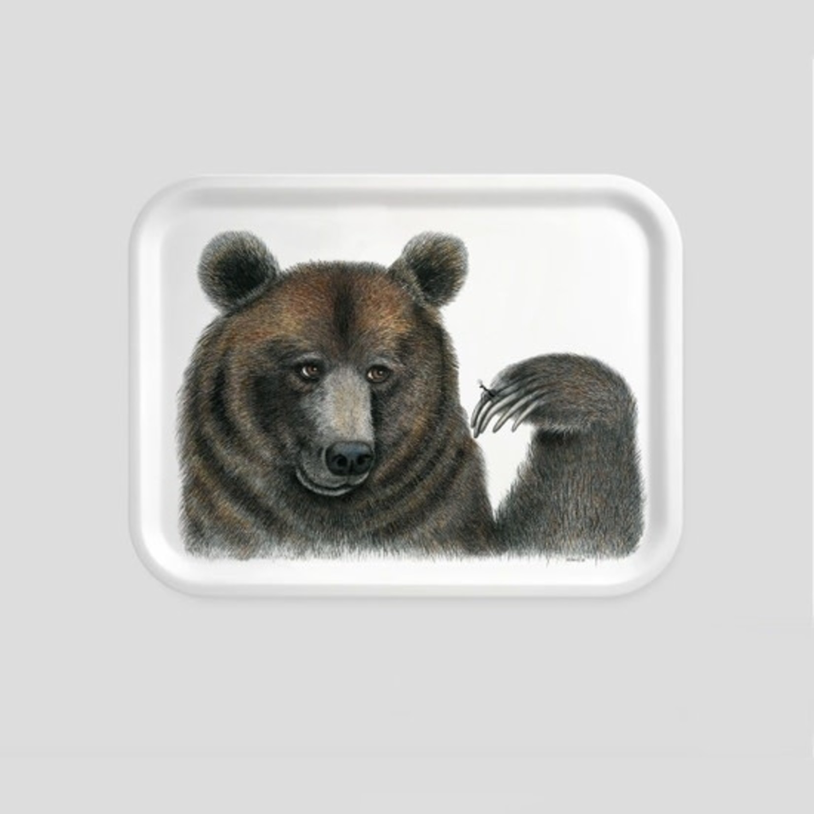 Trays Bear Rect Tray