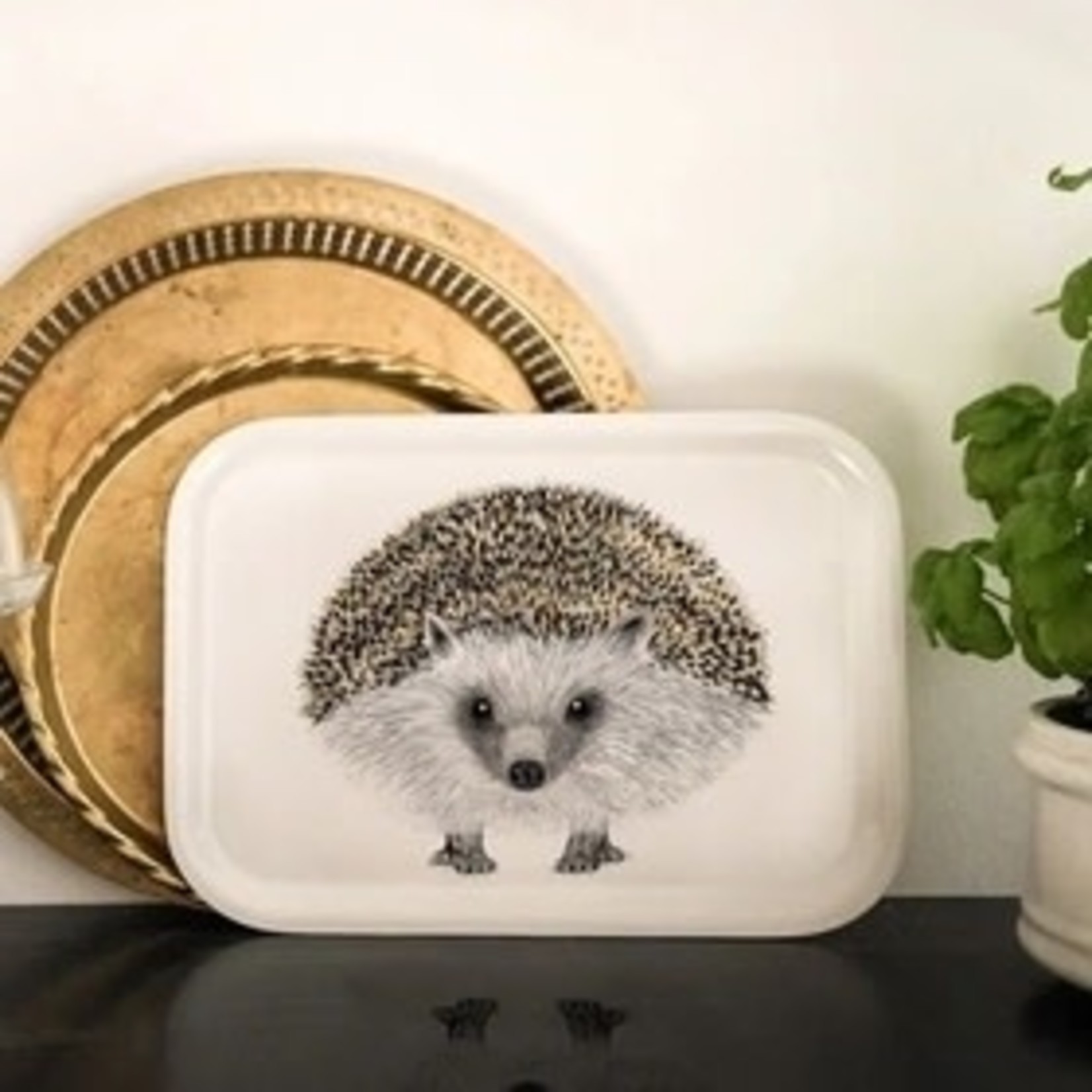 Trays Hedgehog Rect Tray