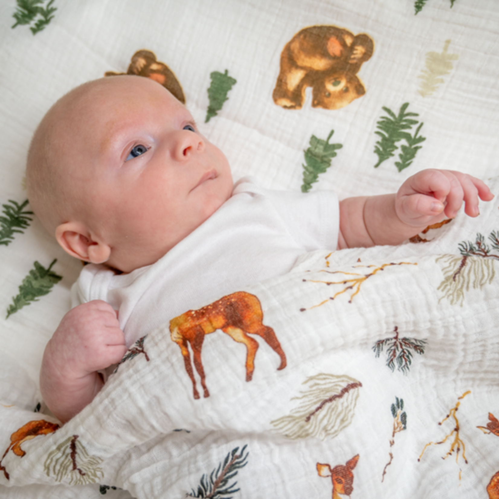 Swaddle Blankets Oh Deer Swaddle