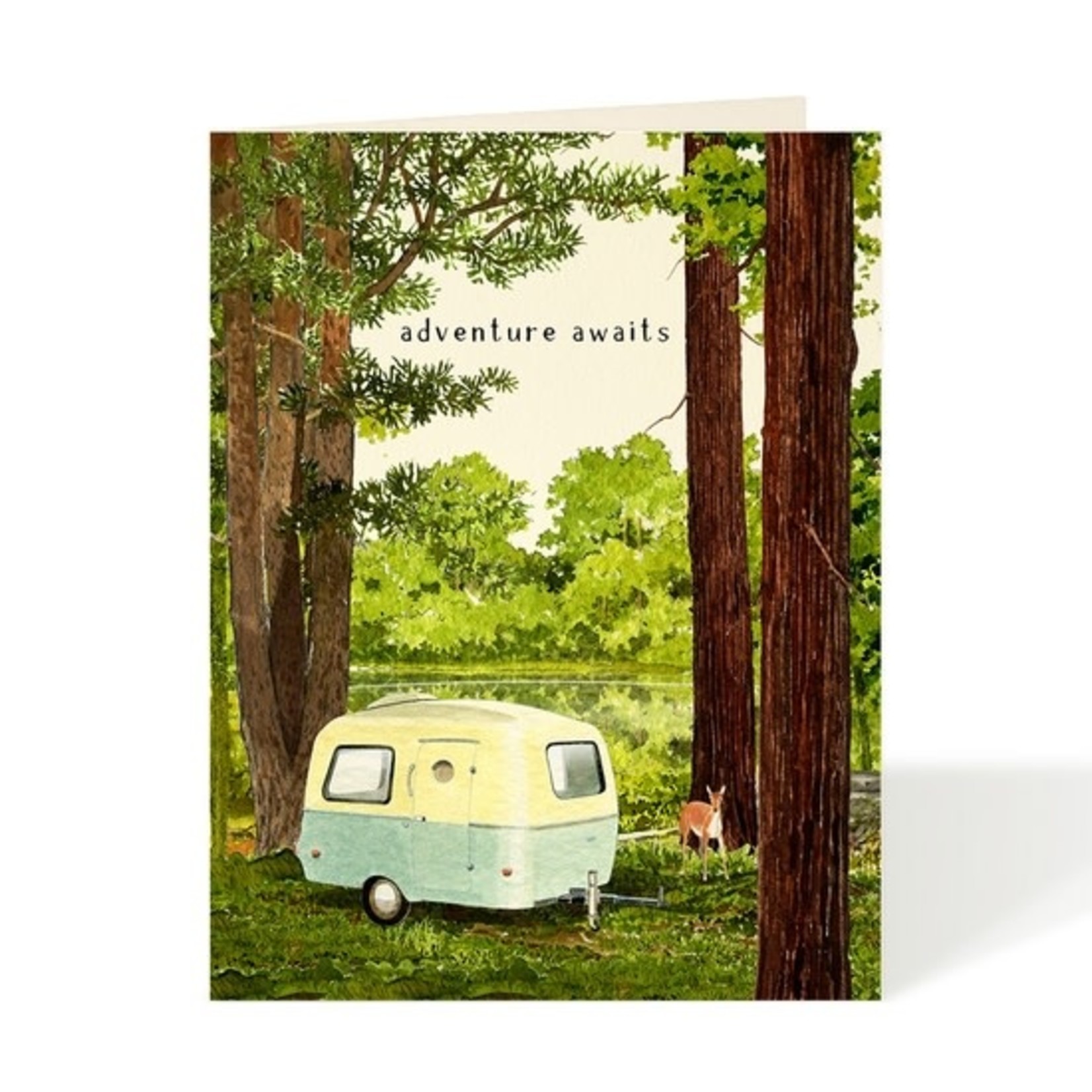 Greeting Cards - General Adventure Awaits