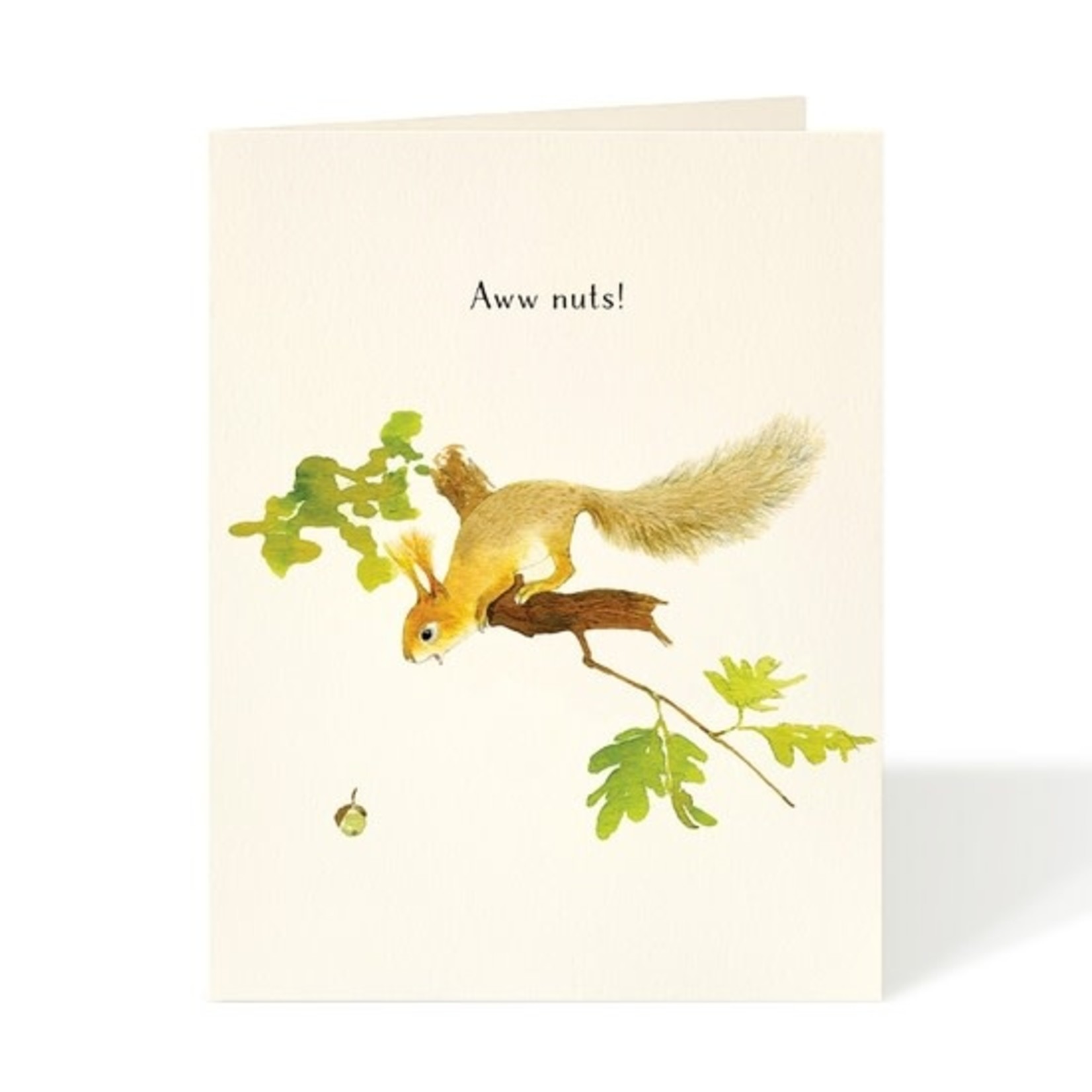Greeting Cards - Feel Better Aww Nuts!