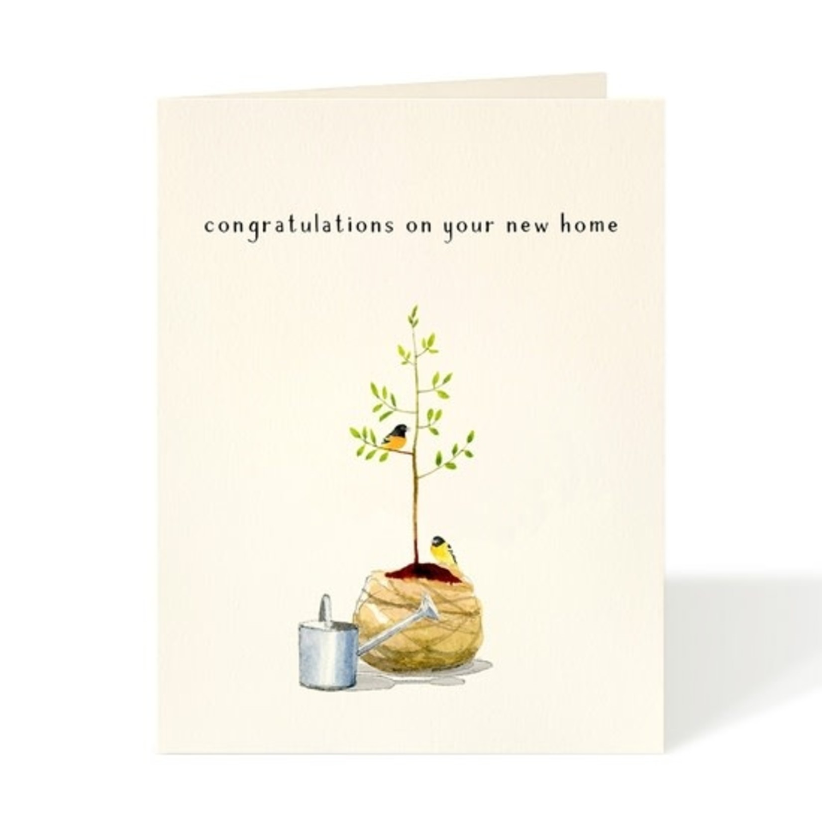 Greeting Cards - New Home Taking Root New Home