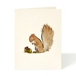 Greeting Cards - General Brown Squirrel