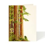Greeting Cards - General Redwoods