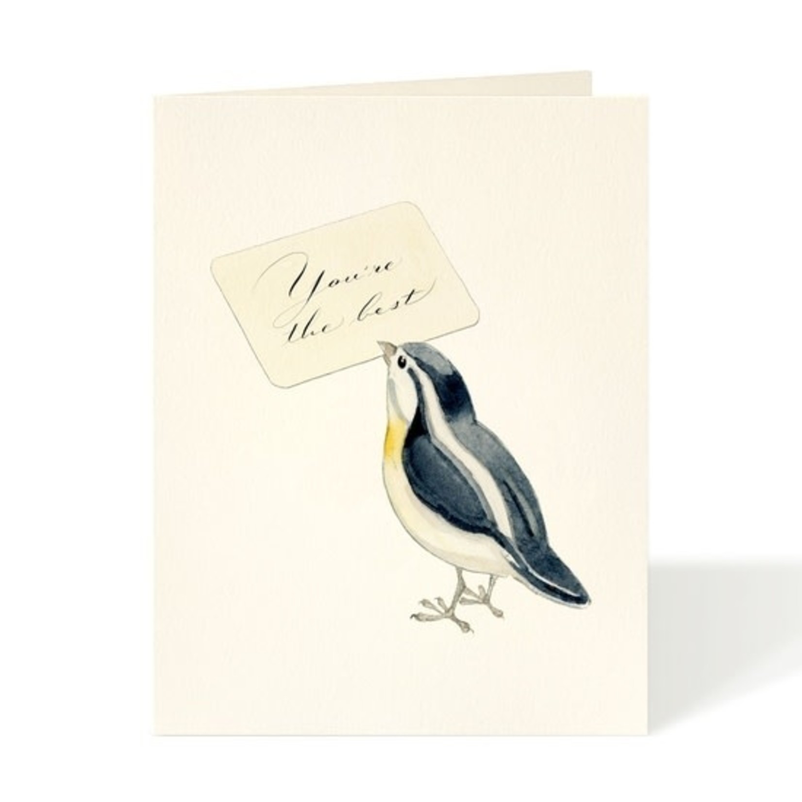 Greeting Cards - Thank You Best Birdie Thank You