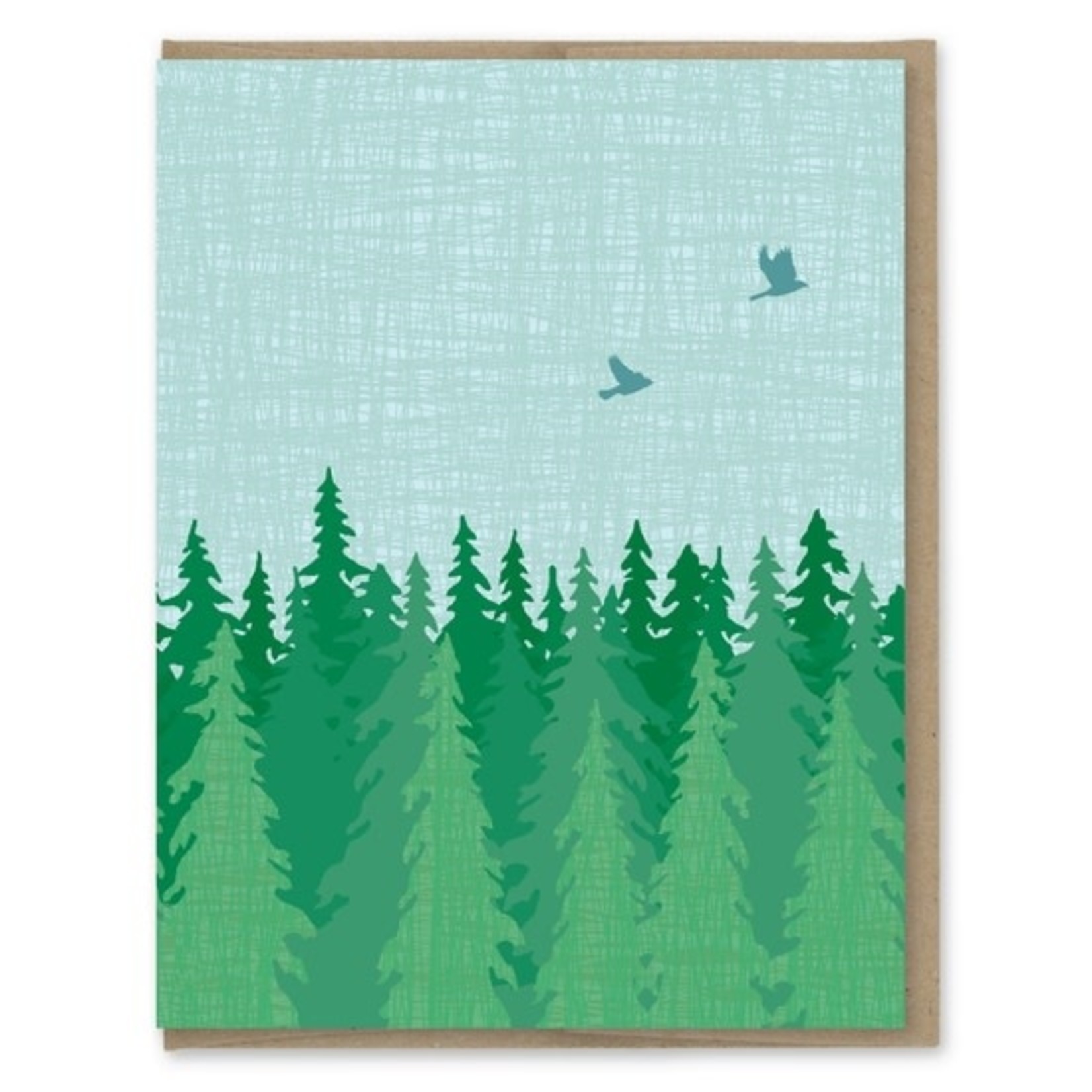 Greeting Cards - Boxed Evergreen Blank Note Set