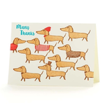 Greeting Cards - Thank You Dachshunds Many Thanks