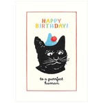 Greeting Cards - Birthday Purrfect Human Birthday