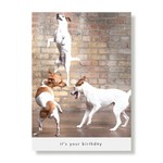 Greeting Cards - Birthday Howie, Simon & Woody Birthday