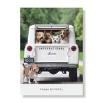 Greeting Cards - Birthday Jake & Gang In Scout