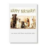 Greeting Cards - Birthday Douglas Duncan Pip Roscoe & Phoebe