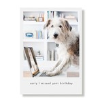 Greeting Cards - Birthday Beauty Belated Birthday