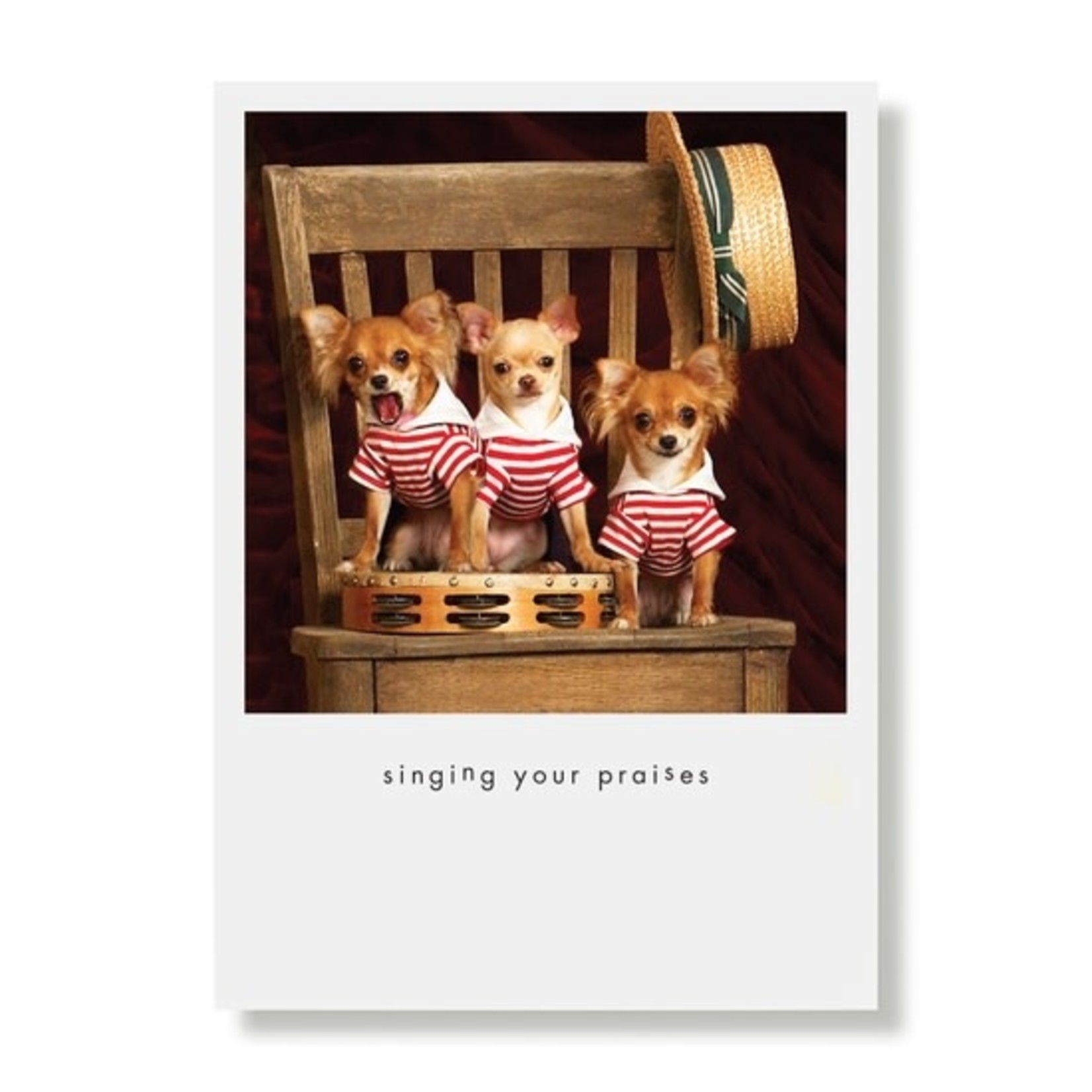 Greeting Cards - Thank You Three Amigos Praises