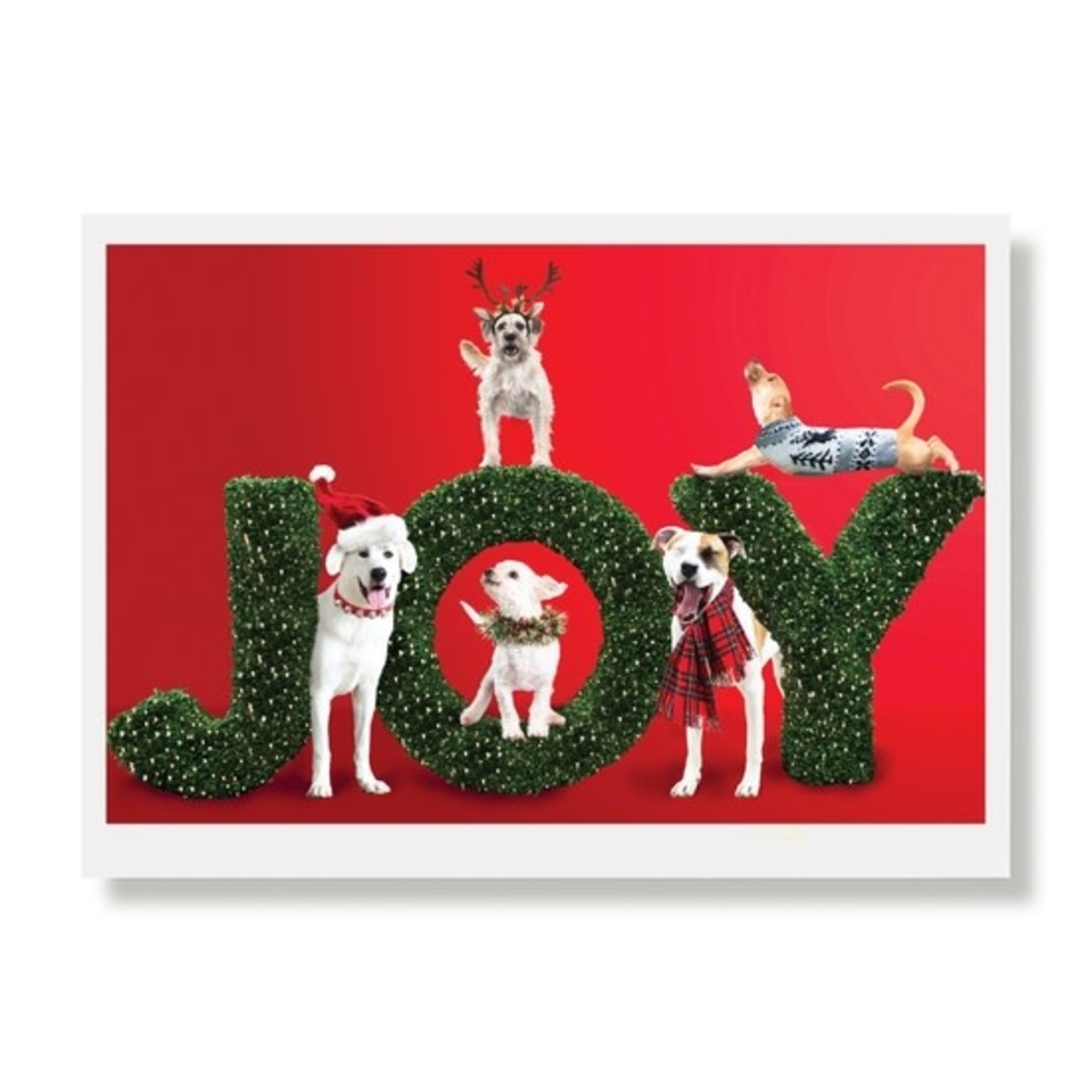 Greeting Cards - Christmas Lance & Gang JOY Holiday