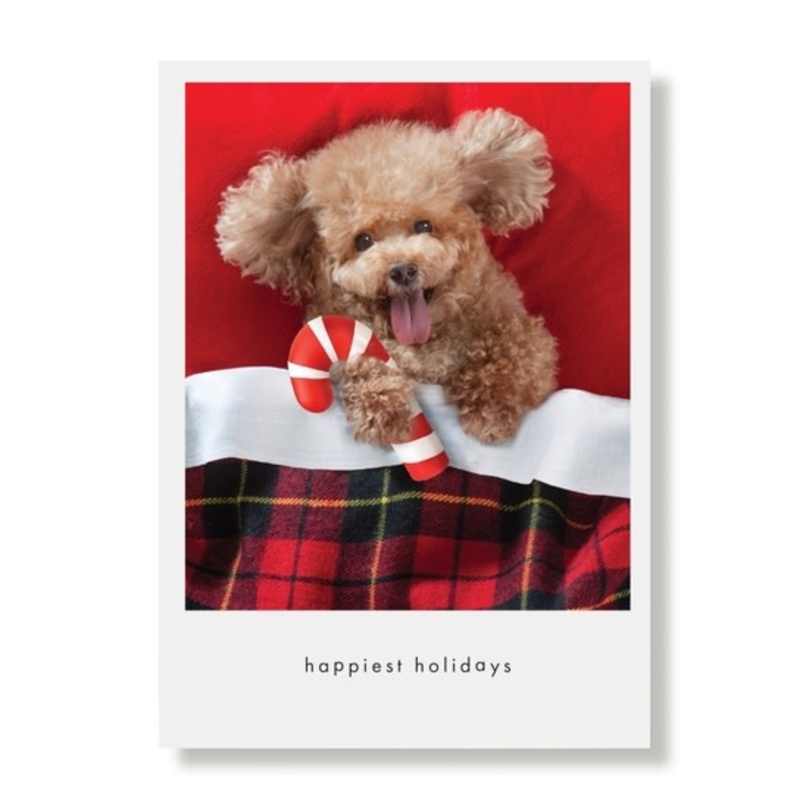 Greeting Cards - Christmas Bonzie Candy Cane