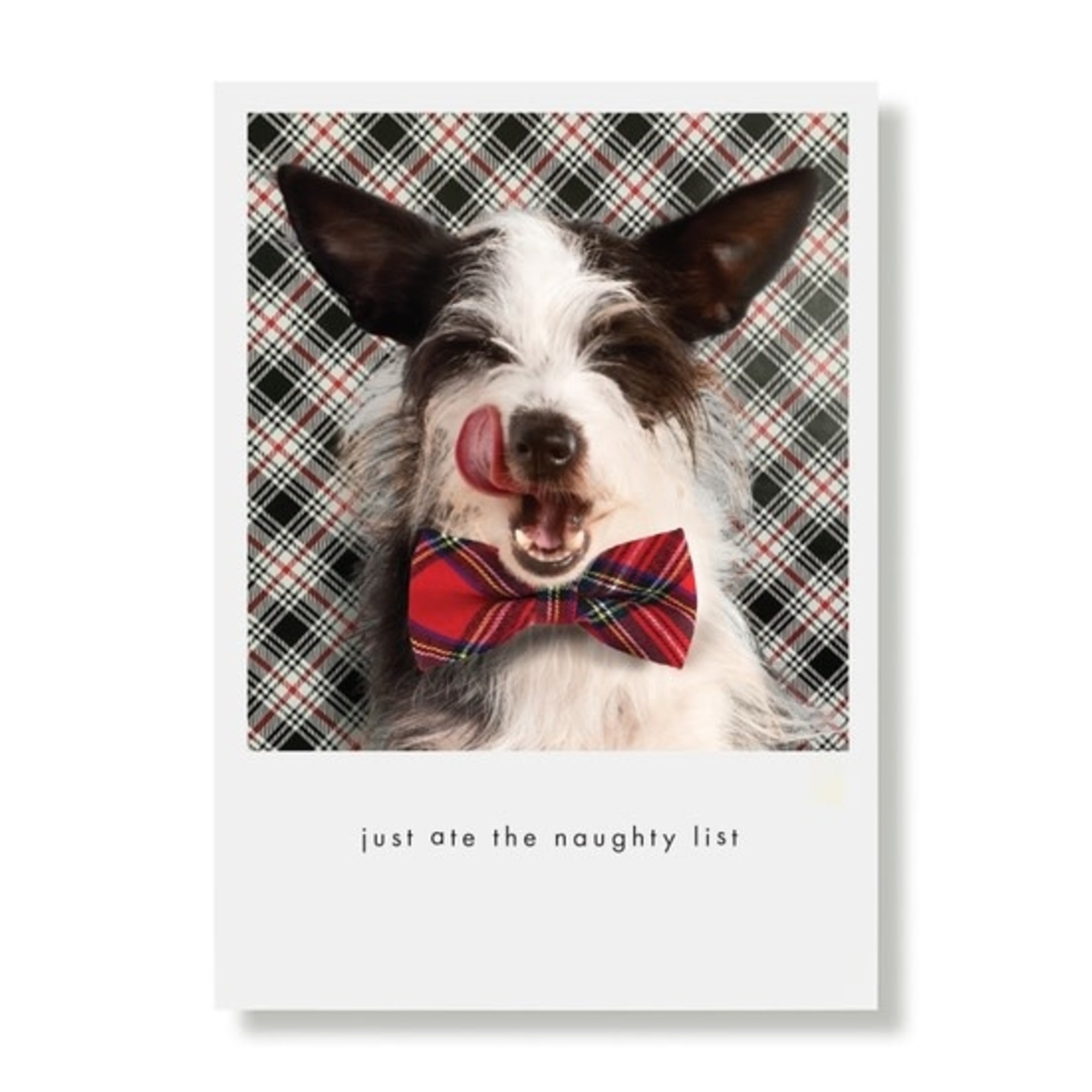 Greeting Cards - Christmas Indy 500 Plaid Bow Tie