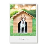 Greeting Cards - Birthday Sydney Roo Belated Birthday