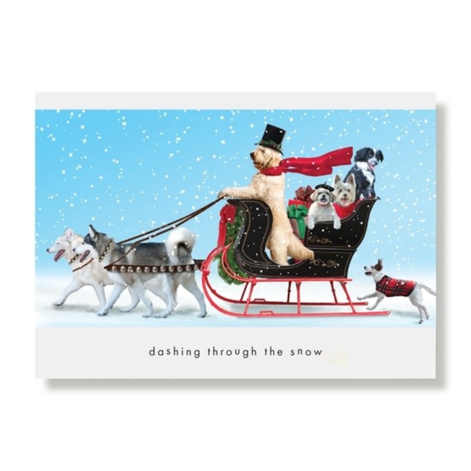 Greeting Cards - Christmas Inouk Ghost Sultan Sleigh Ride